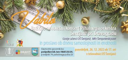 DanSamostojnosti&KoncertPOŠ22_1