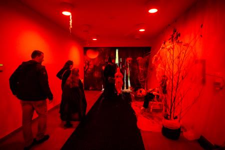 Shod čarovnic spet navdušil 16