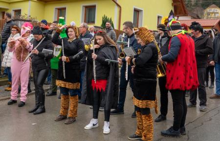 Pustni karneval v Šentjanžu 2