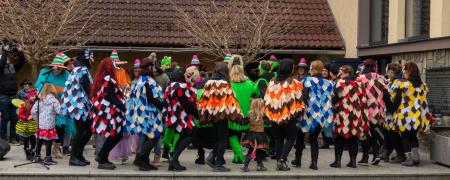 Pustni karneval v Šentjanžu 7