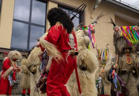 Pustni karneval v Šentjanžu 10