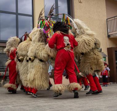 Pustni karneval v Šentjanžu 11