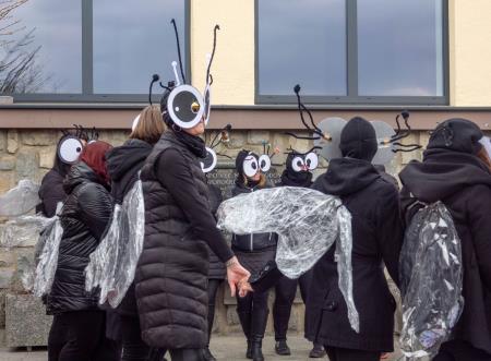 Pustni karneval v Šentjanžu 13
