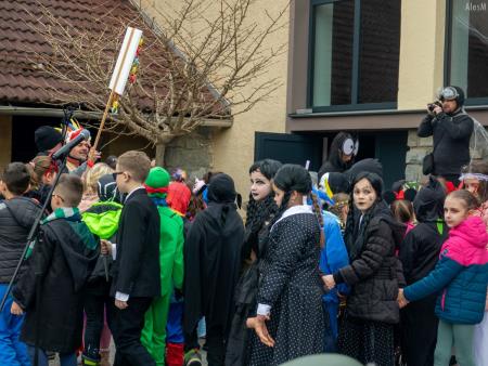 Pustni karneval v Šentjanžu 14