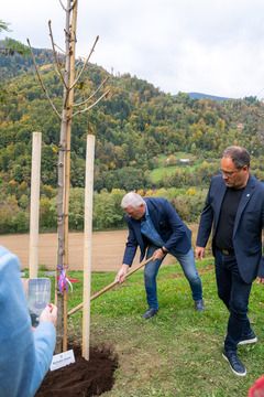 Predsednik DU Dravograd, Željko Kljajić ob zasaditvi drevesa