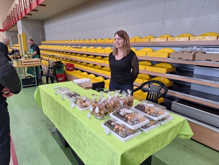 Stojnica kmetije Medved