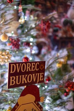 Dvorec Bukovje v lučkah