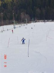 Iverka6
