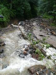 IMG_20180706_084504_resized_20180706_093538873