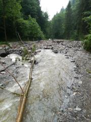 IMG_20180706_084535_resized_20180706_093614925